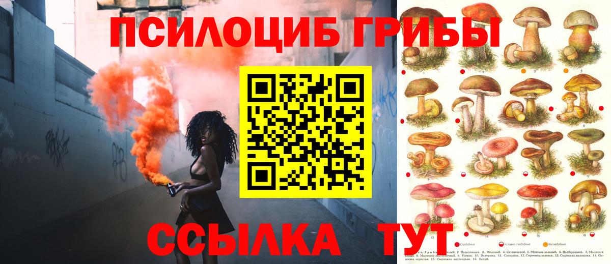 Чебоксары  Галлюциногенные грибы Psilocybe  Вход с VPN  Галлюциногенные грибы GOLDEN TEACHER 