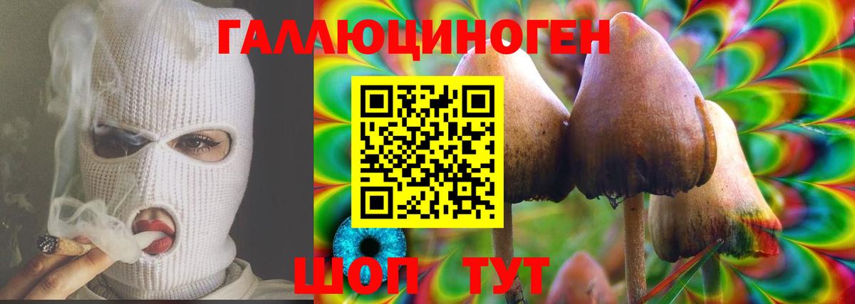 Псилоцибиновые грибы MAGIC MUSHROOMS Чебоксары